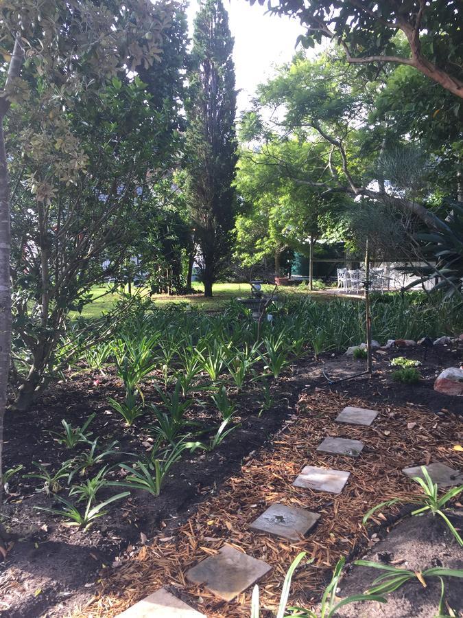 Acorn Cottage Hermanus Exterior foto